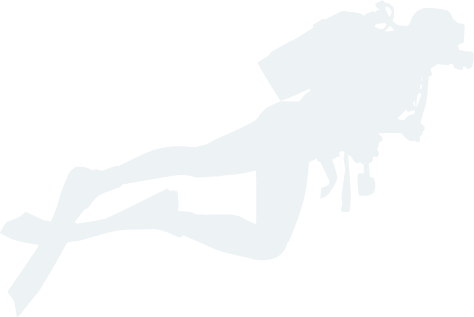 爱体育